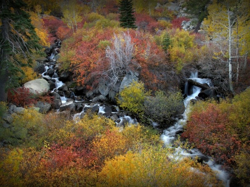 Echo Creek