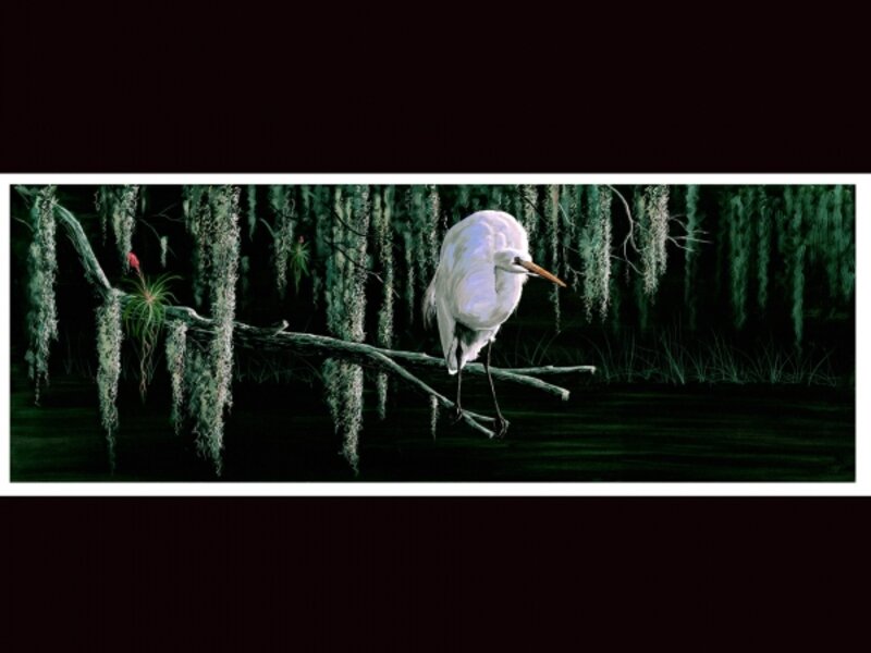 Egret and spanishmoss