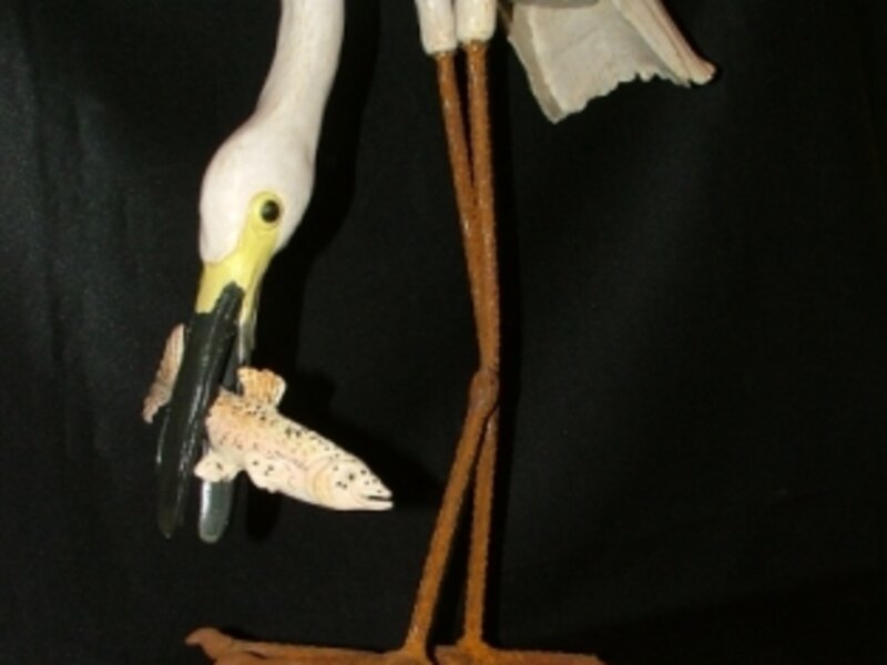 Snowy Egret with Trout