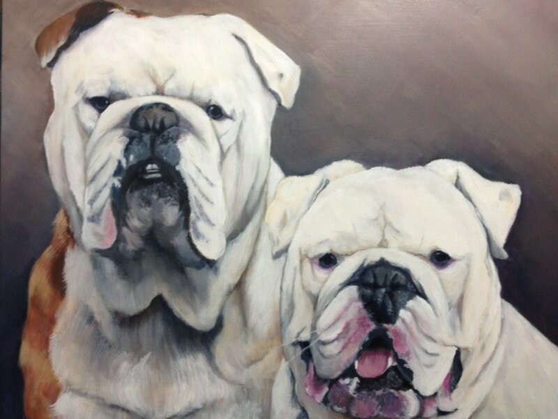 Bulldogs