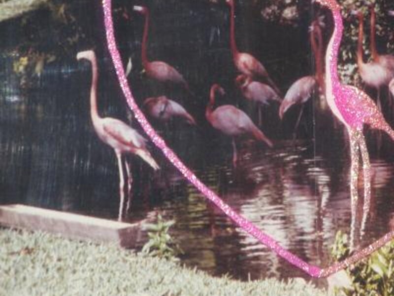 FLAMINGO VALENTINO