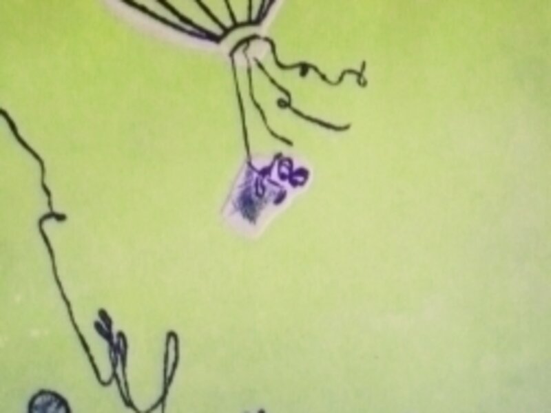 Falling from the sky