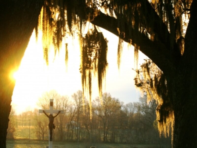 Arisen In The Morning