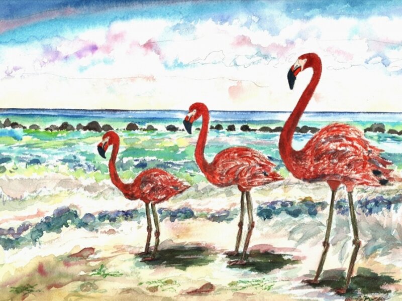 Flamingos At The Beach