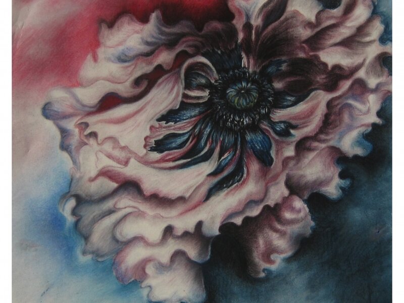 Floating Poppy