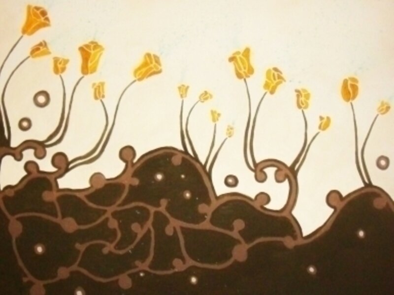 Flourishing Blossoms