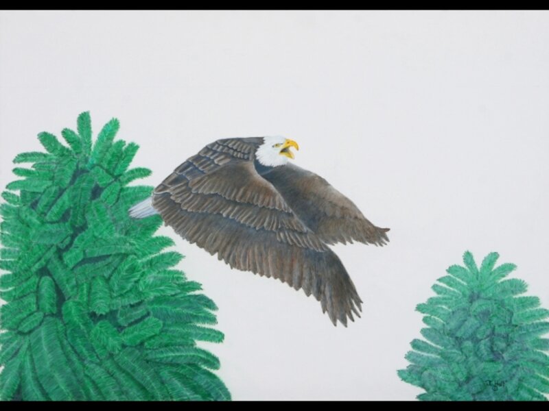 "Freedom to Fly" - Flying Eagle