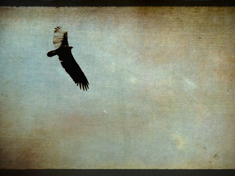 Flying Solo