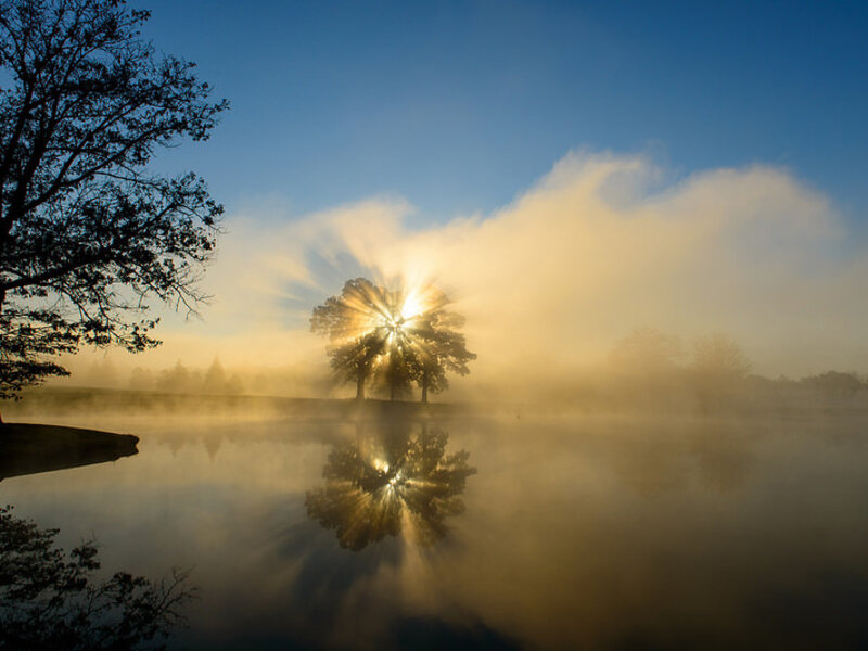 Foggy Sunrise