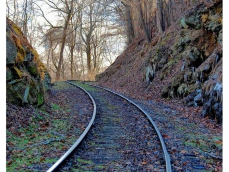 Follow my Tracks