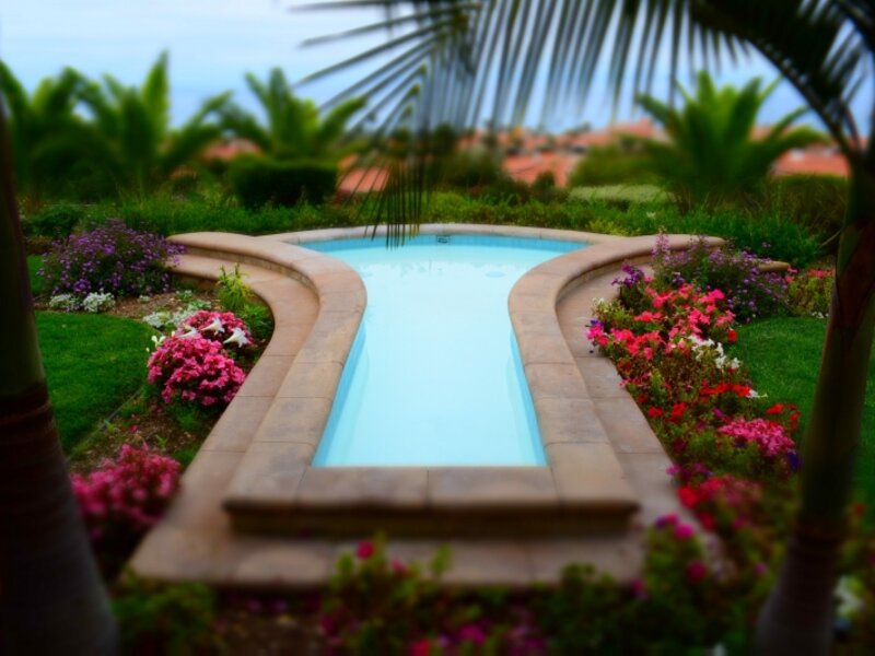Fountain surrounded by color
