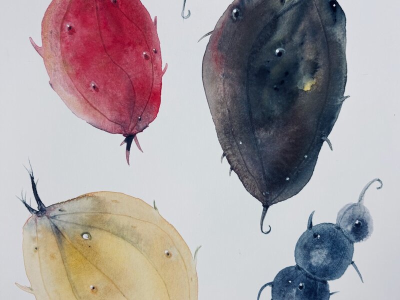 Painting in gouache,  February 2025. 