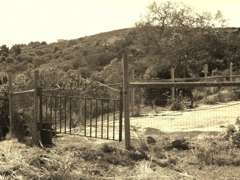 Sonoma County Gate Picture