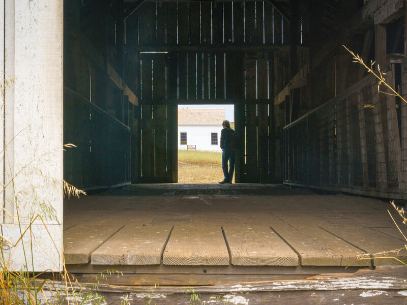 Man in barn door