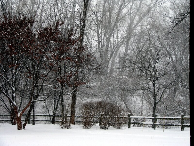 "Winter Comes To Oakwood Common"