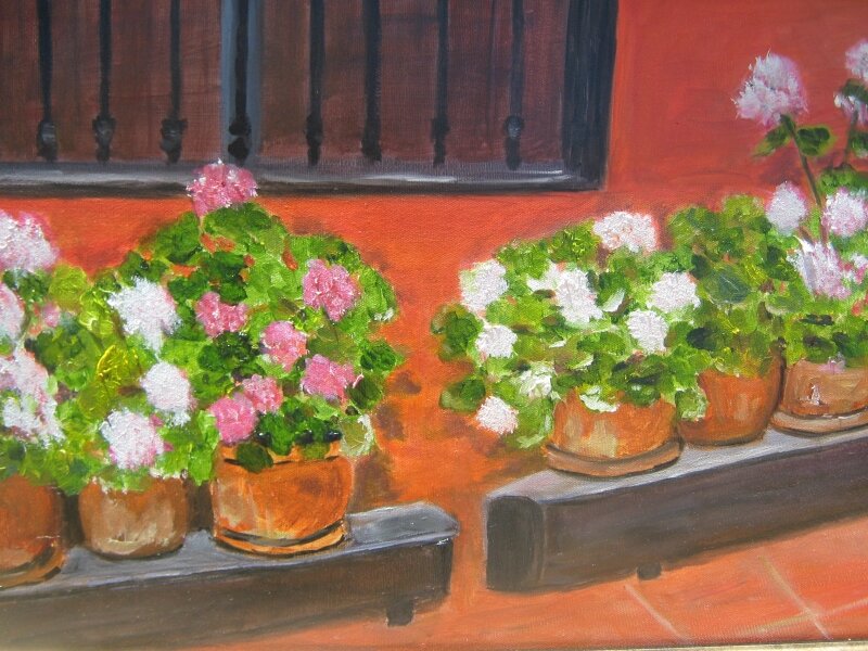 Geraniums
