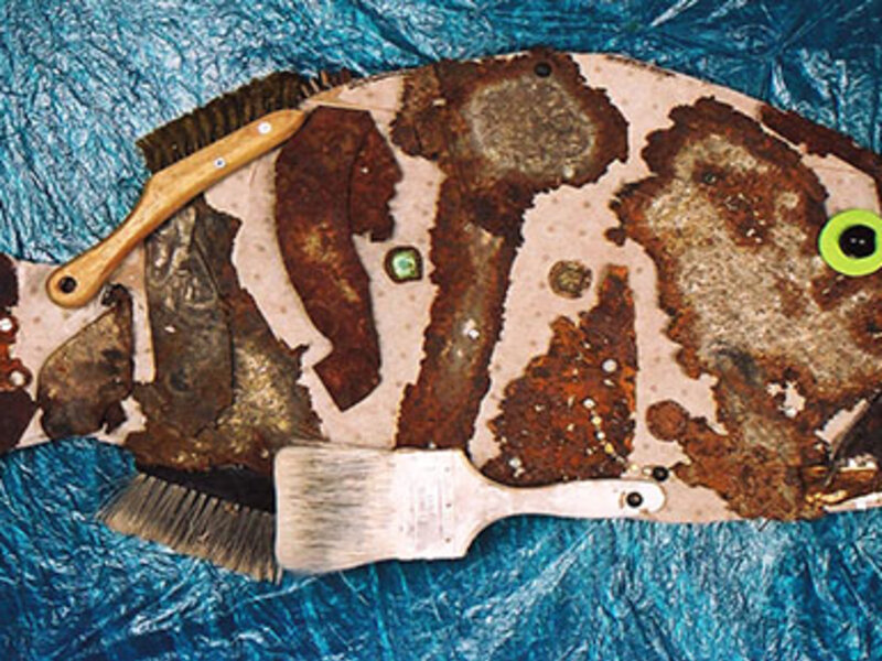 Goliath Grouper