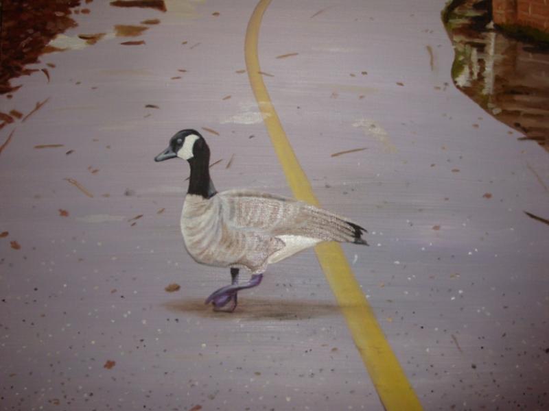 Why Did the Goose Cross the Road?