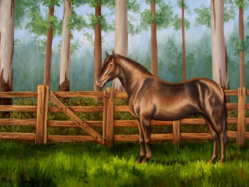 Horse