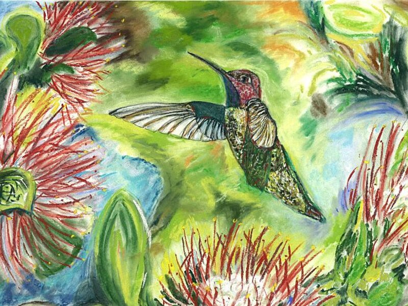 Hummingbird