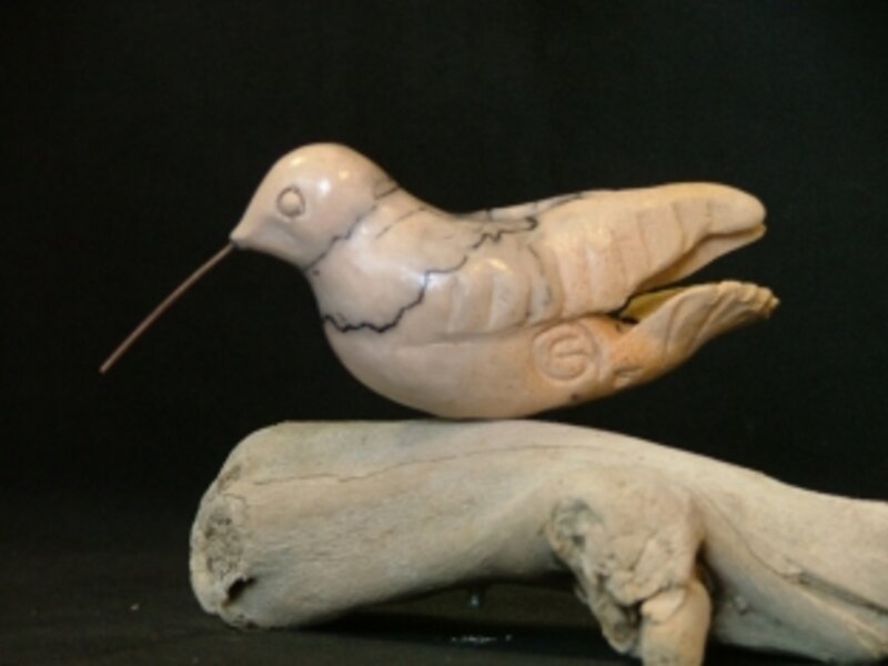 Horsehair Hummingbird