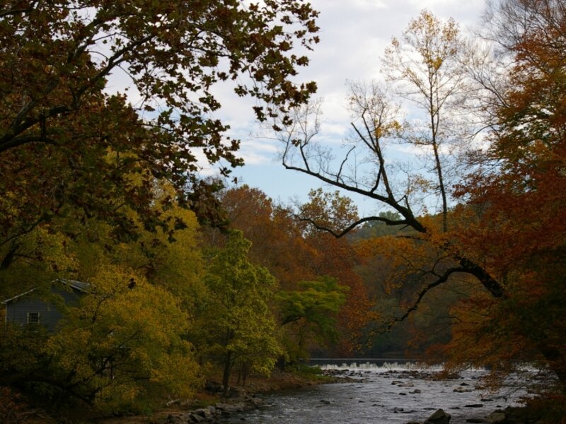 peaceful