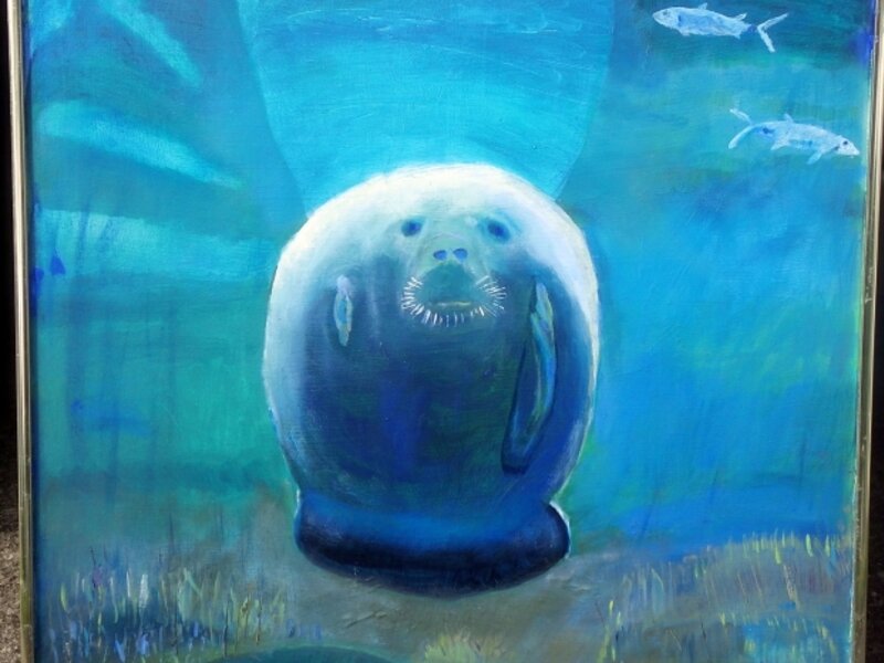 Manatee rehab