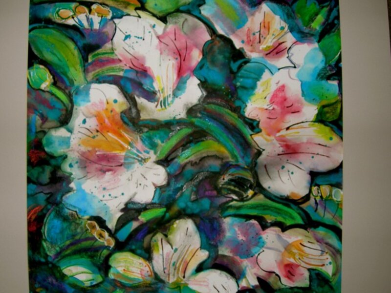 Asiatic Lilies