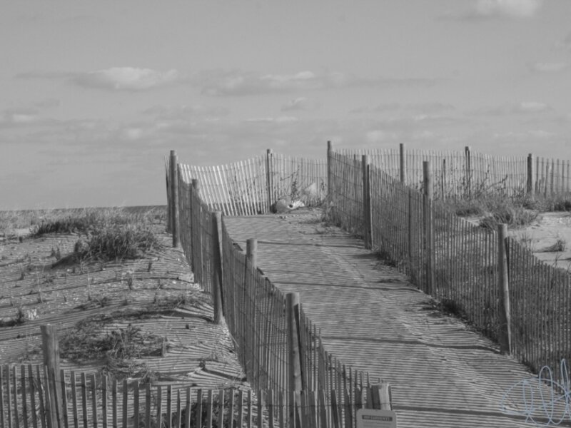 UNDER THE BOARD WALK