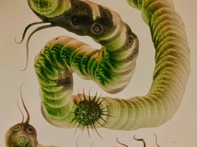 Painting in watercolor, 2022. 