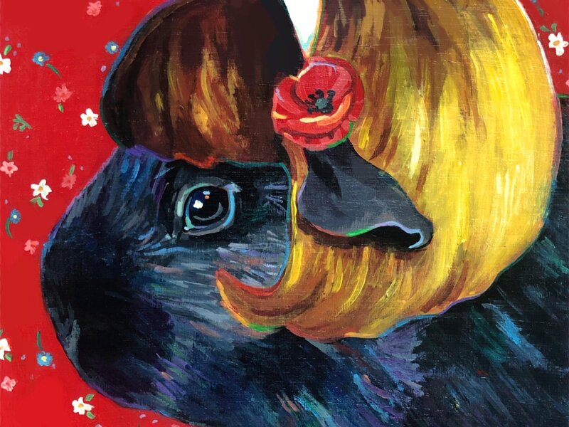 A black guinea pig with a yellow mid century hairstyle. She has a white headband, and the background is floral red. 