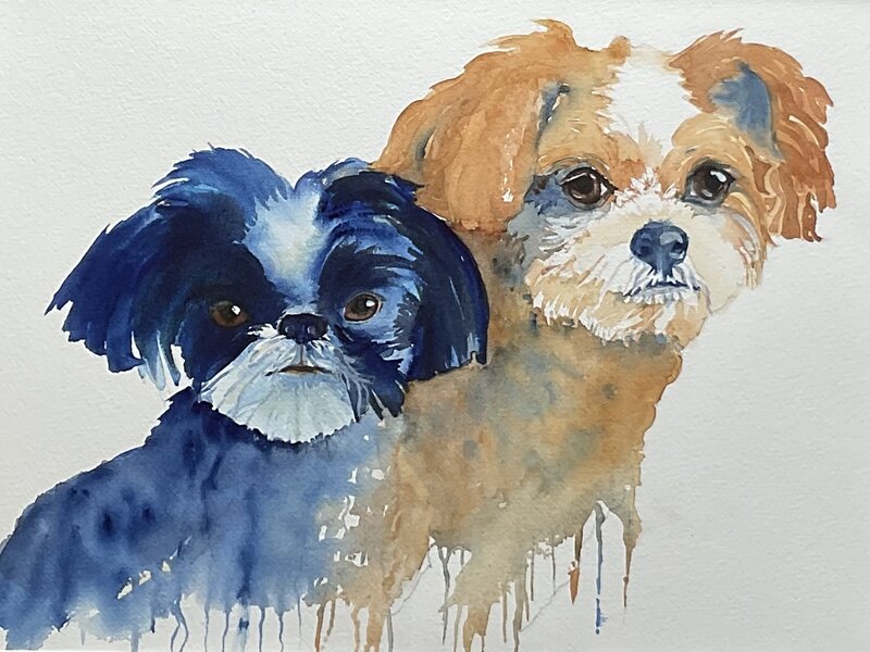 Two dogs in transparent watercolor 16”x20”