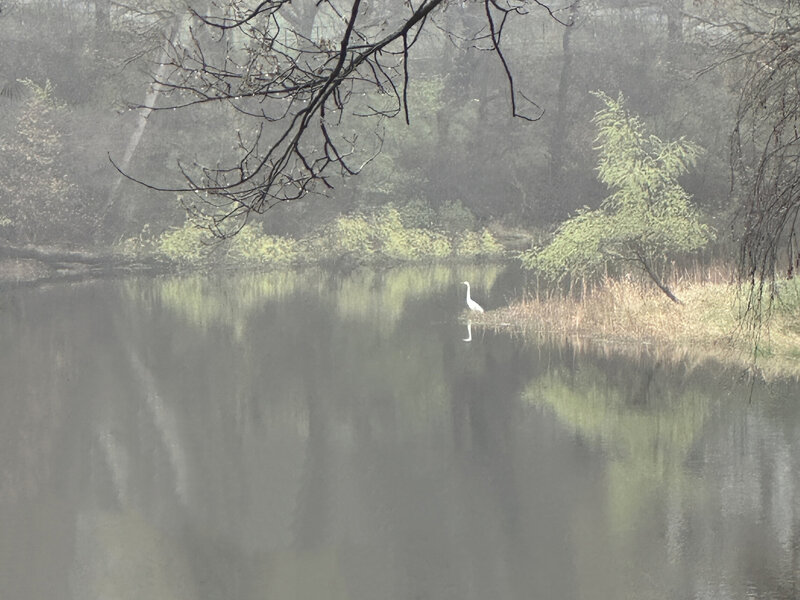 A peaceful morning scene on Lake Emily.