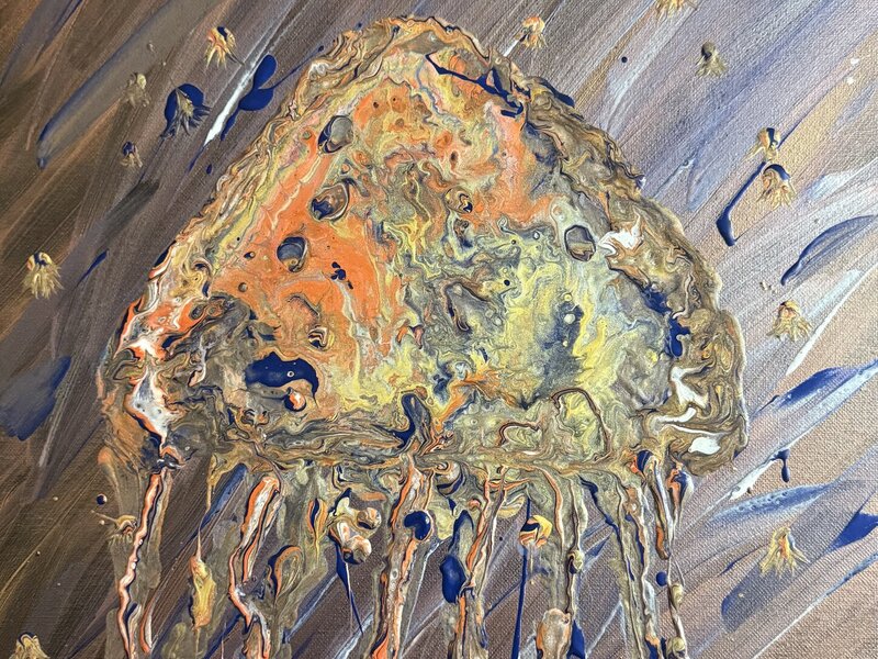 Multiple color jelly fish 