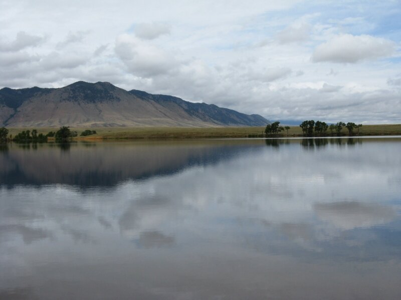 Sheep Mountain Reflections