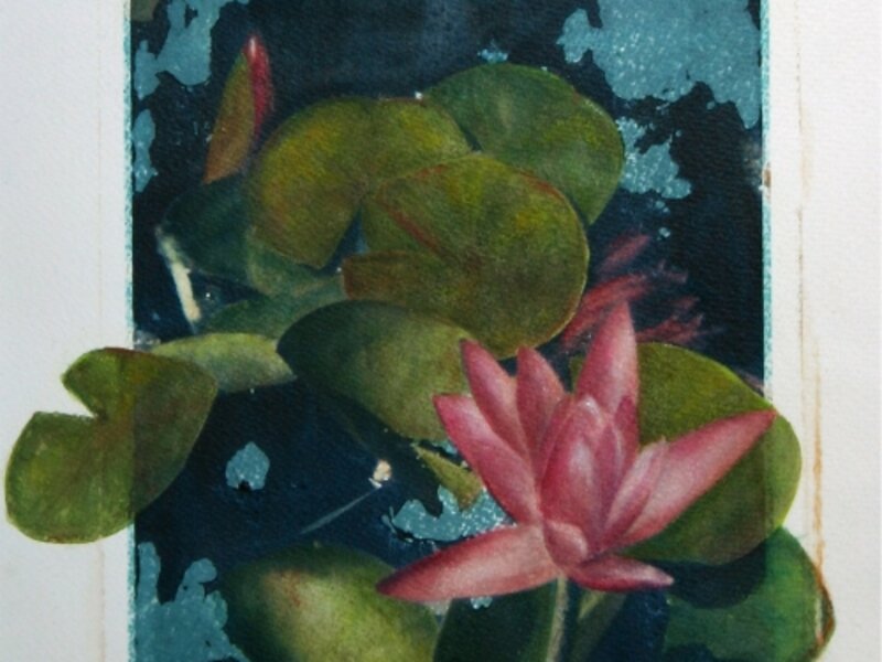 "Lotus"