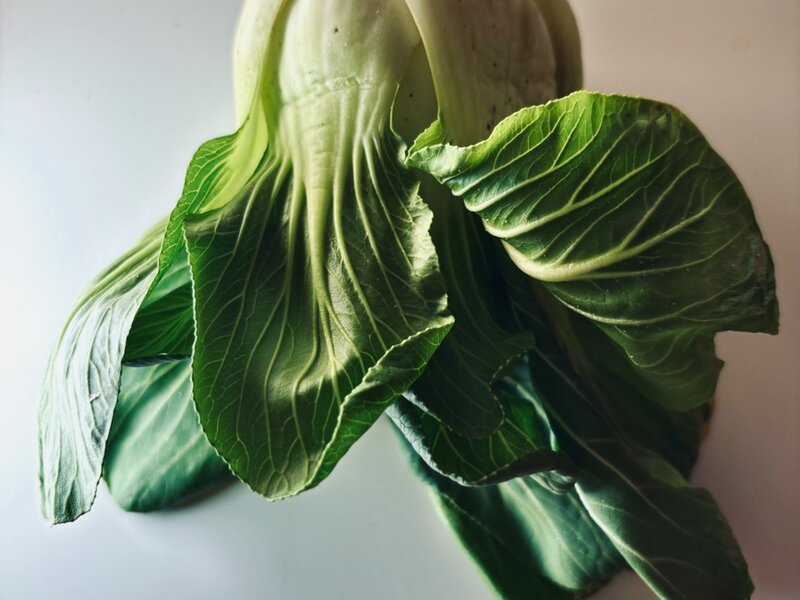 Photograph of Boo Choy Vegetable, February 18, 2025.