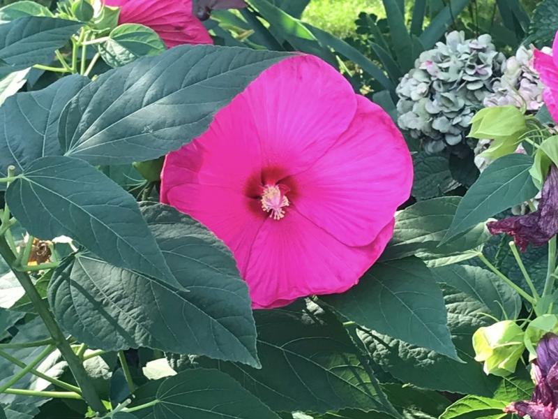 Spring is blooming!!! 