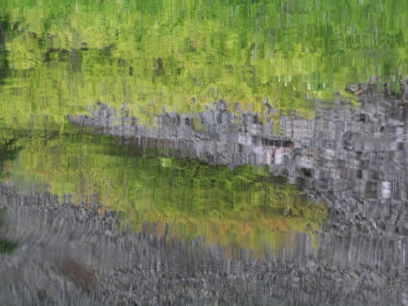 Shadows in the Lake