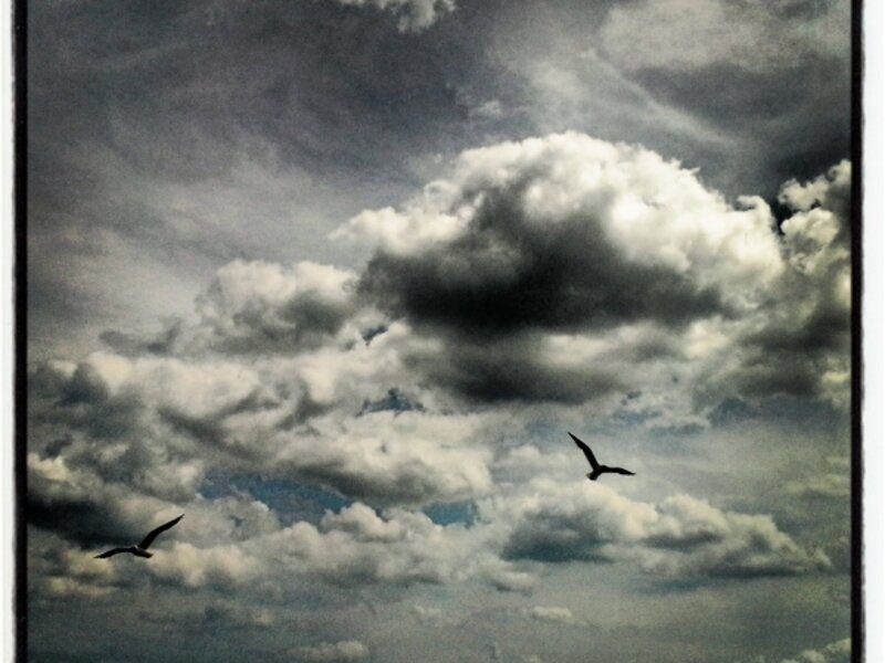 Take Flight