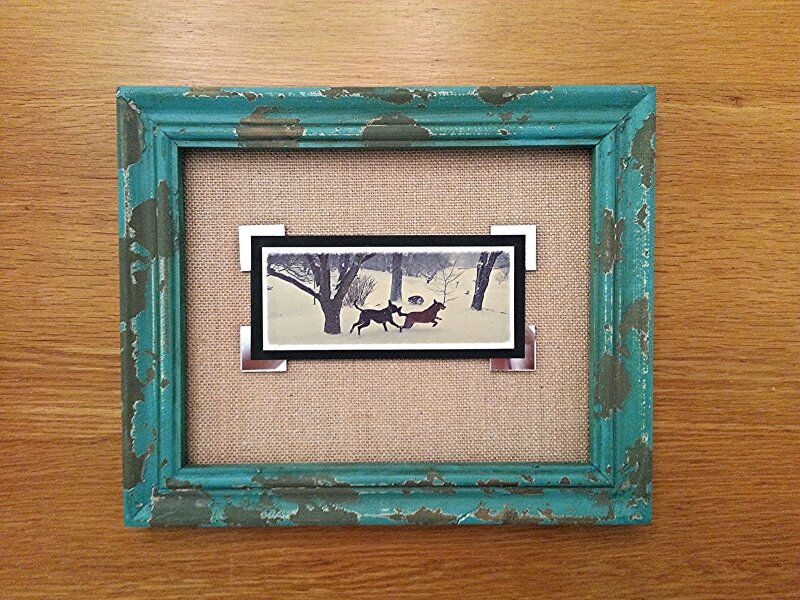 Winter, dogs, snow, running, chasing