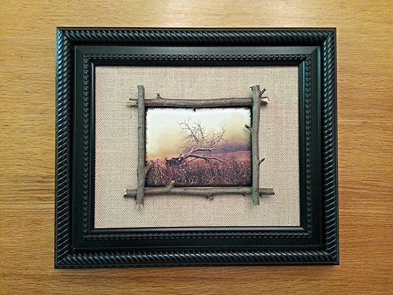 Fallen Tree--Displayed