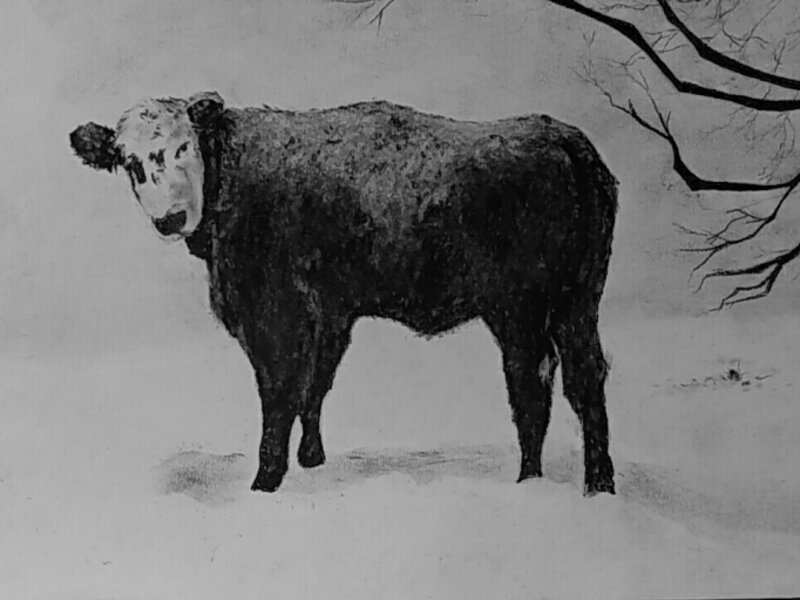 South Plains Winter