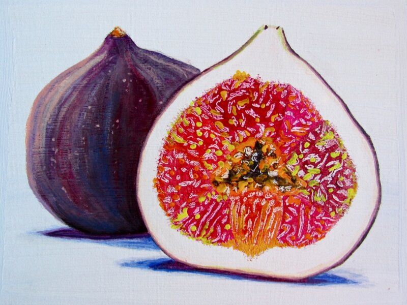 Rob's Figs