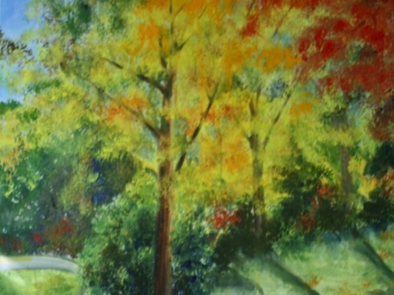 Colors unlimited