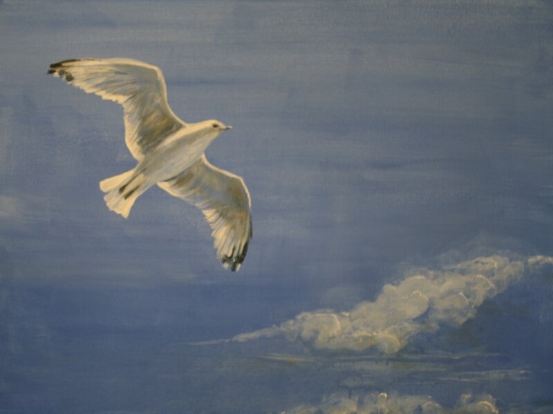 Soaring high