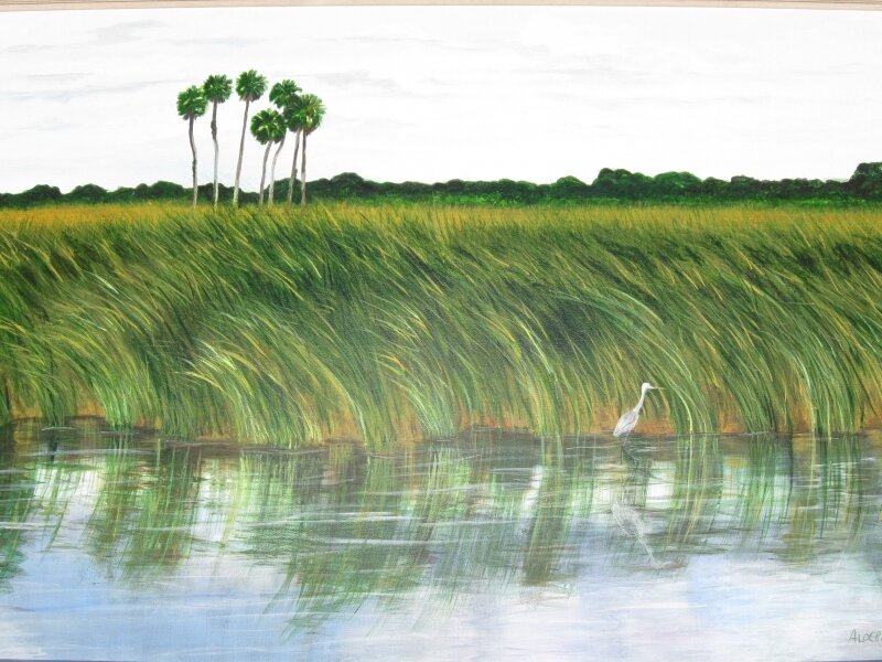 Nine Cabbages on Lake Kissimmee