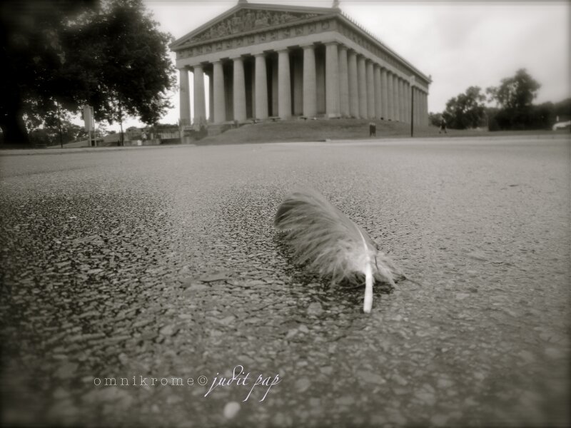 feather