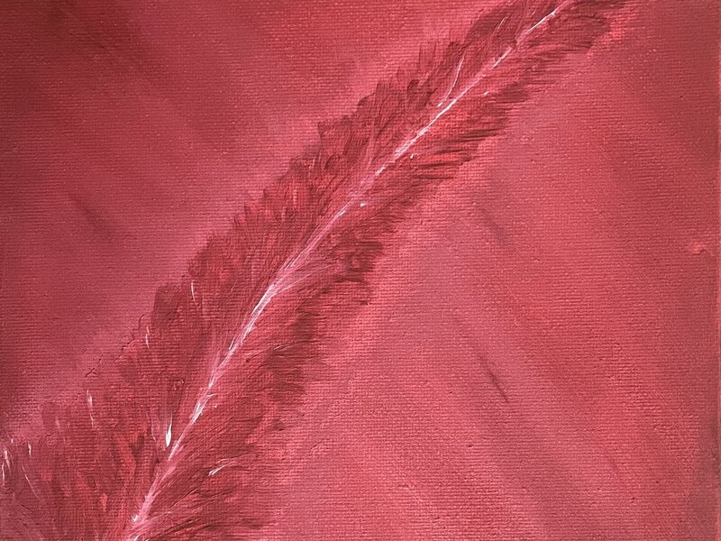 all red in red feather 