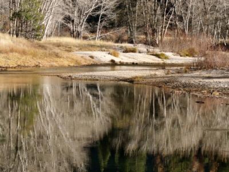 Fall in love with Yosemite 